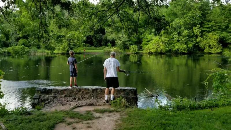 Lenape Park - Cranford, NJ