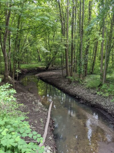 Lenape Park - Cranford, NJ