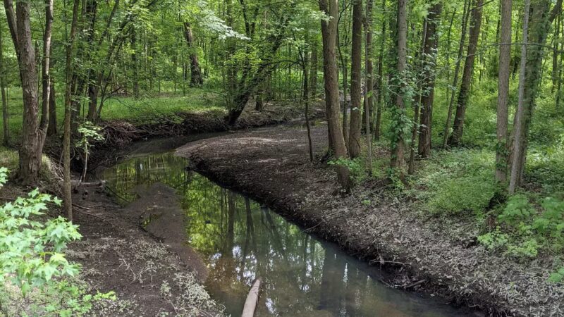 Lenape Park - Cranford, NJ