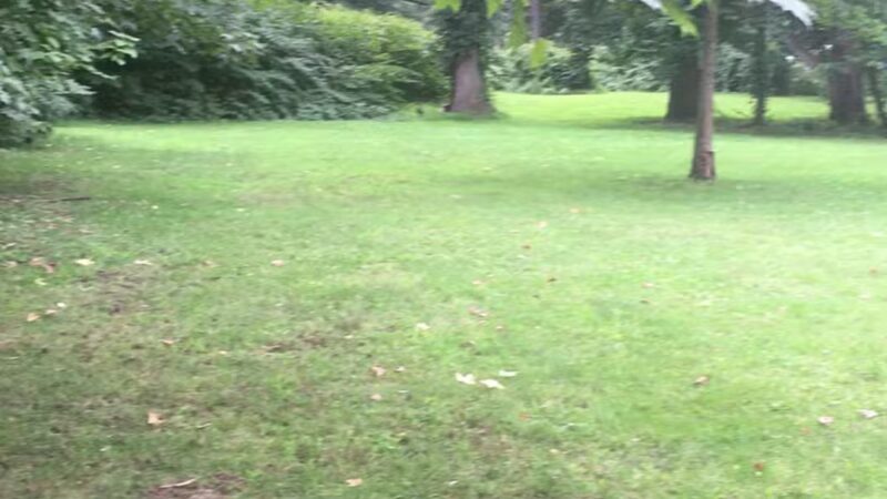 MacConnell Park - Cranford, NJ