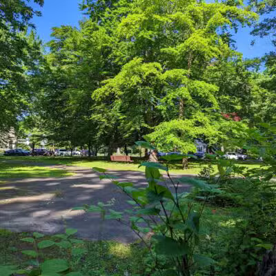 MacConnell Park - Cranford, NJ