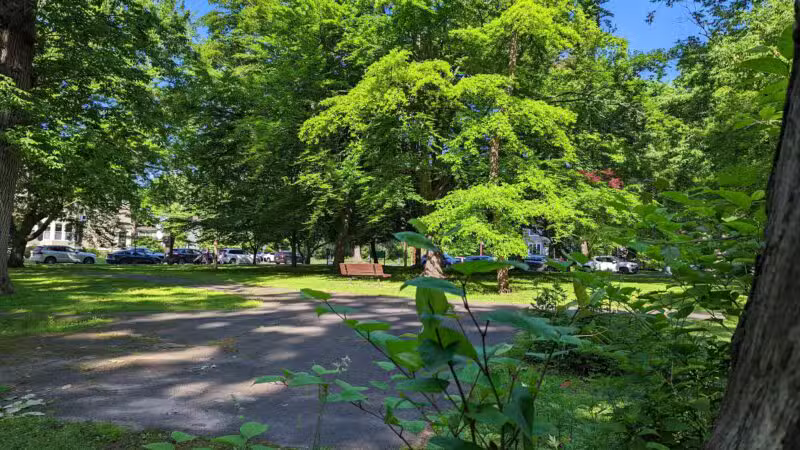 MacConnell Park - Cranford, NJ