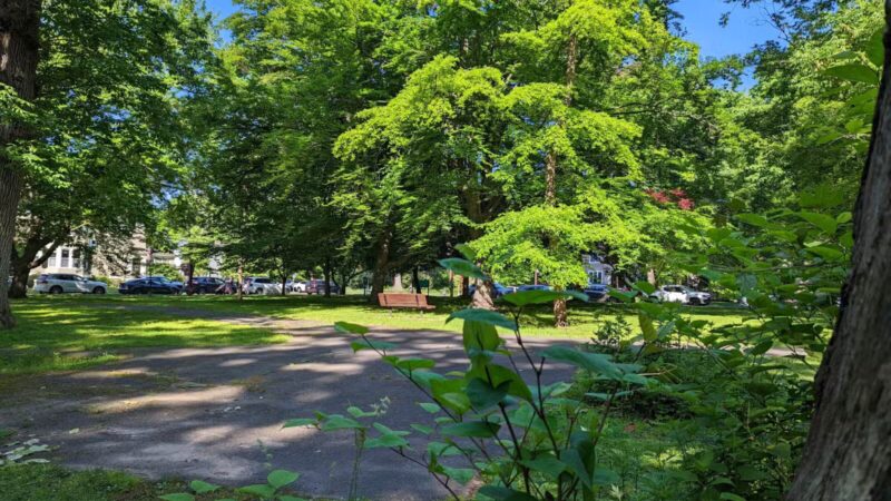 MacConnell Park - Cranford, NJ