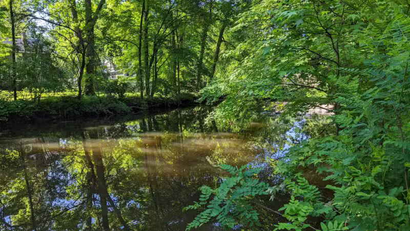 MacConnell Park - Cranford, NJ