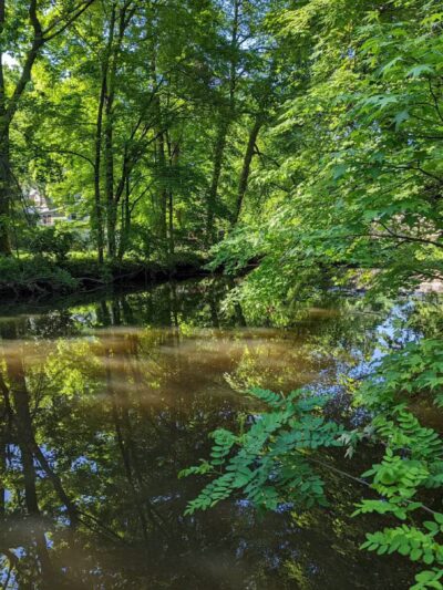 MacConnell Park - Cranford, NJ