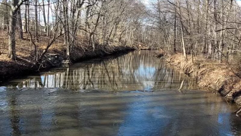 Mohawk Park - Cranford, NJ