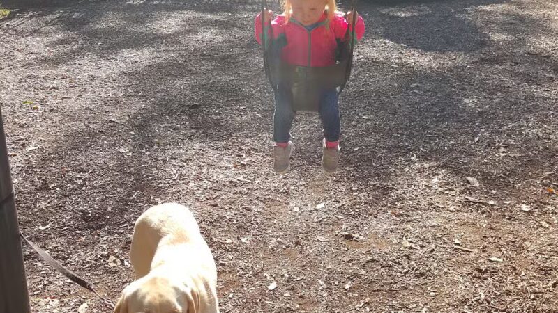 Mohawk Park - Cranford, NJ