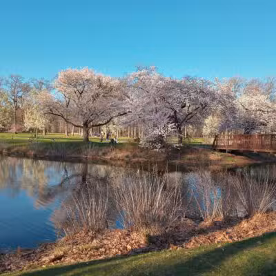 Nomahegan Park - Cranford, NJ