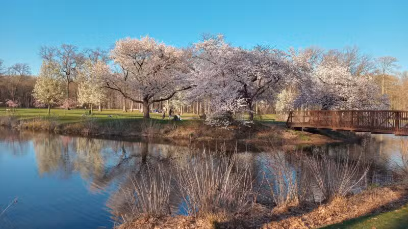 Nomahegan Park - Cranford, NJ