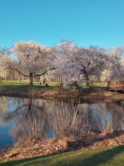 Nomahegan Park - Cranford, NJ