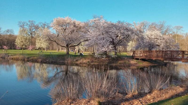 Nomahegan Park - Cranford, NJ