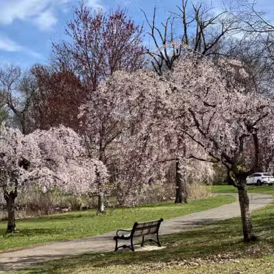 Nomahegan Park - Cranford, NJ