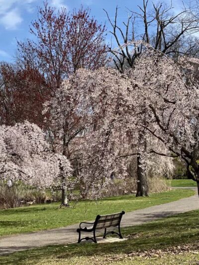 Nomahegan Park - Cranford, NJ