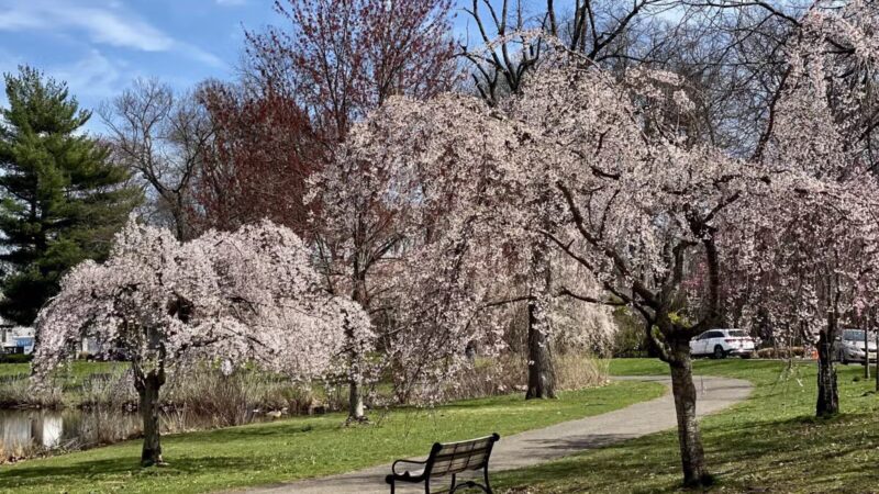Nomahegan Park - Cranford, NJ