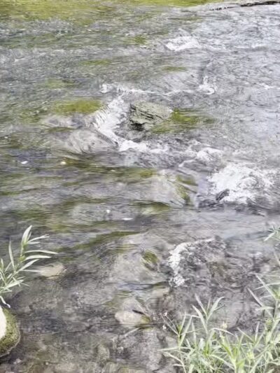 Sugar Creek Nature Park - Crawfordsville, IN