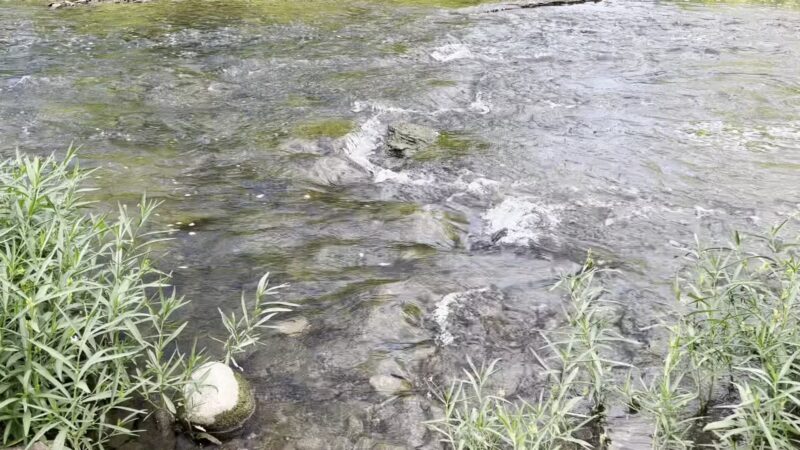 Sugar Creek Nature Park - Crawfordsville, IN