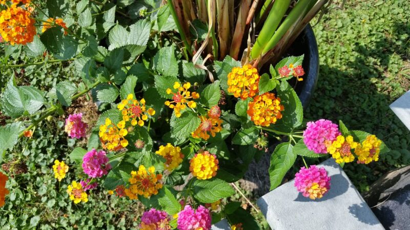 Crescent City Park - Crescent, IA