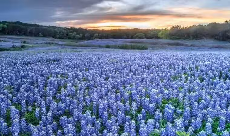 Trinity RV Park - Cresson, TX