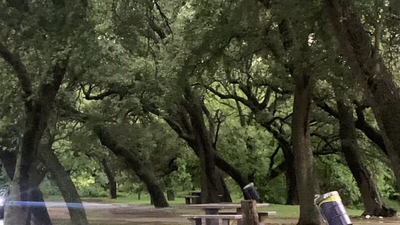 Treadway Park - Cross Plains, TX