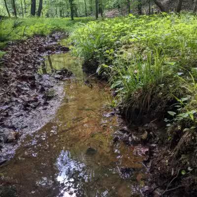 Bacon Ridge Trail Head - Bacon Ridge Rd - North Parking - Crownsville, MD