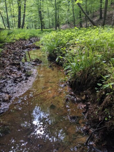 Bacon Ridge Trail Head - Bacon Ridge Rd - North Parking - Crownsville, MD