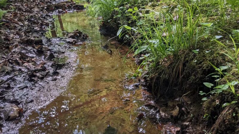 Bacon Ridge Trail Head - Bacon Ridge Rd - North Parking - Crownsville, MD