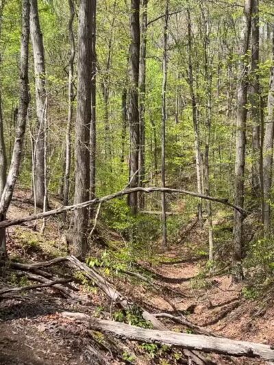 Bacon Ridge Trail Head - Bacon Ridge Rd - North Parking - Crownsville, MD