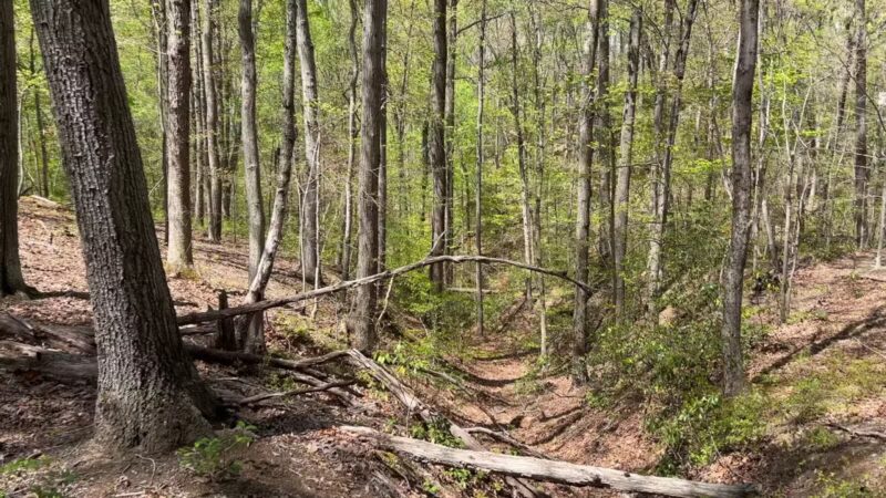 Bacon Ridge Trail Head - Bacon Ridge Rd - North Parking - Crownsville, MD