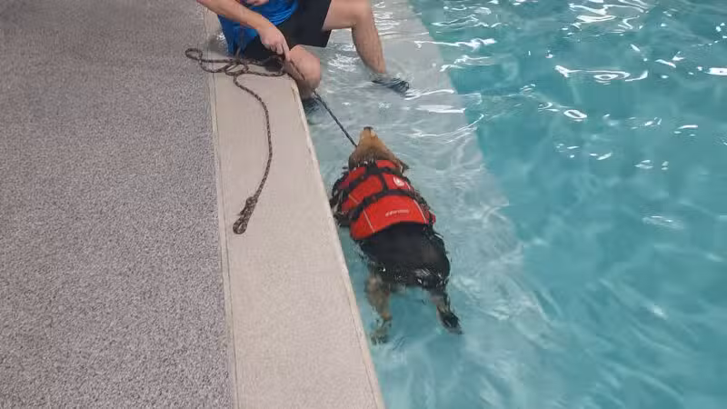 Canine Fitness Center LLC - Crownsville, MD