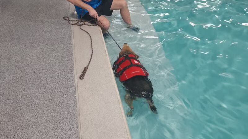 Canine Fitness Center LLC - Crownsville, MD