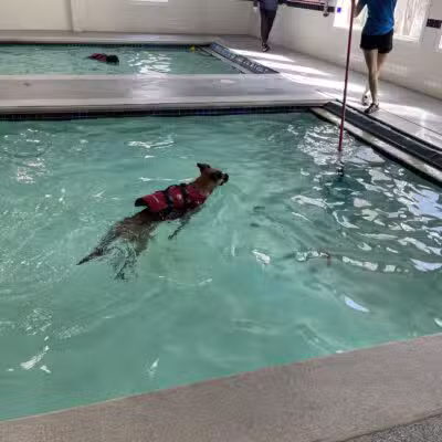 Canine Fitness Center LLC - Crownsville, MD
