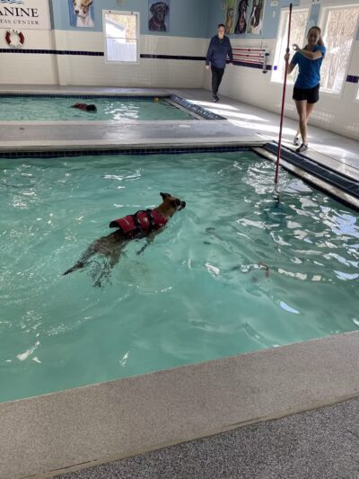 Canine Fitness Center LLC - Crownsville, MD