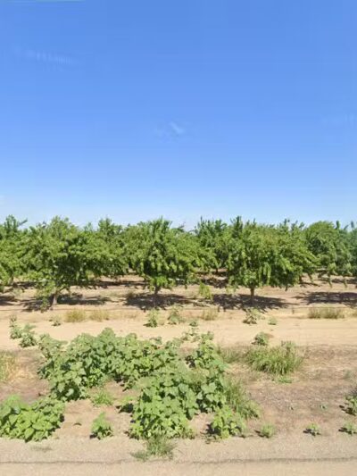 Crows Landing Country Kennels - Crows Landing, CA