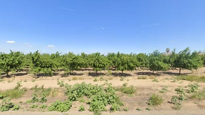 Crows Landing Country Kennels - Crows Landing, CA