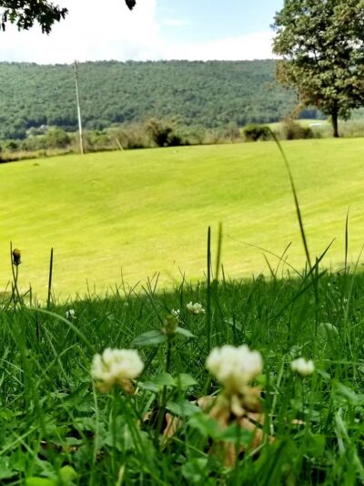 Crystal Spring - Crystal Spring, PA