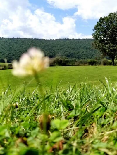 Crystal Spring - Crystal Spring, PA