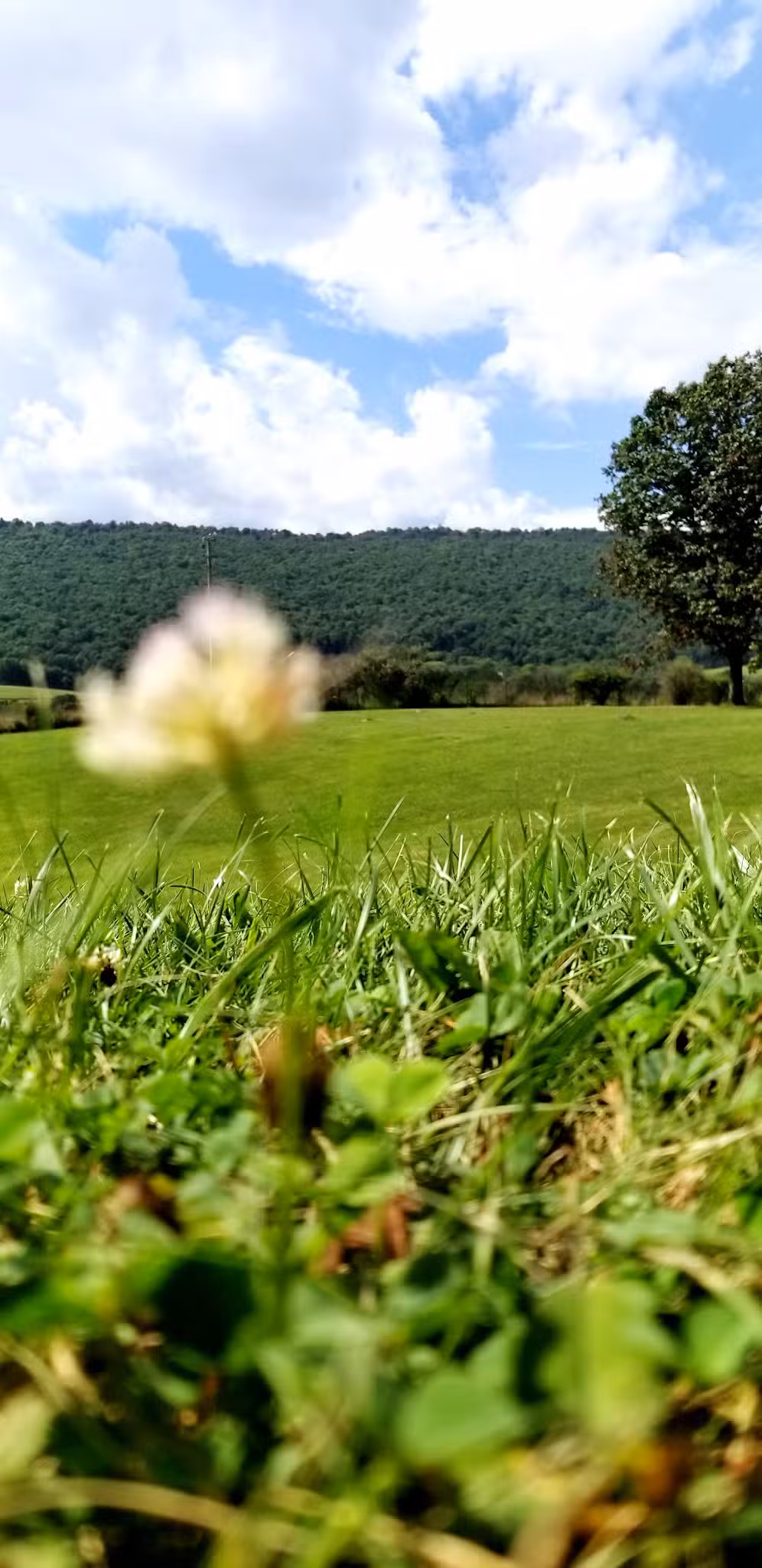 Crystal Spring - Crystal Spring, PA