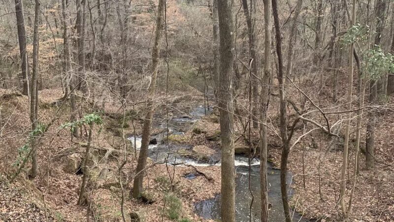 Chautauqua Park - Crystal Springs, MS