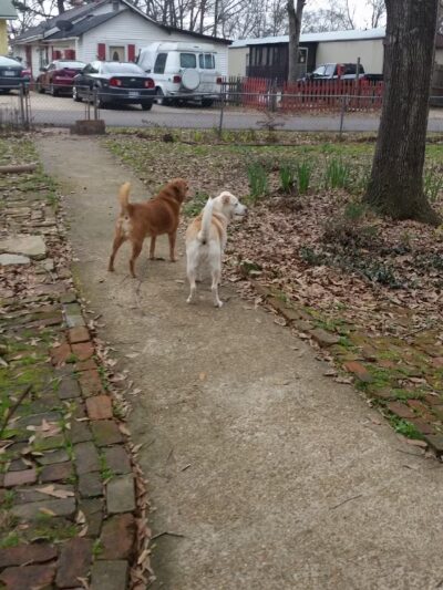 Crystal Springs Parks & Rec - Crystal Springs, MS