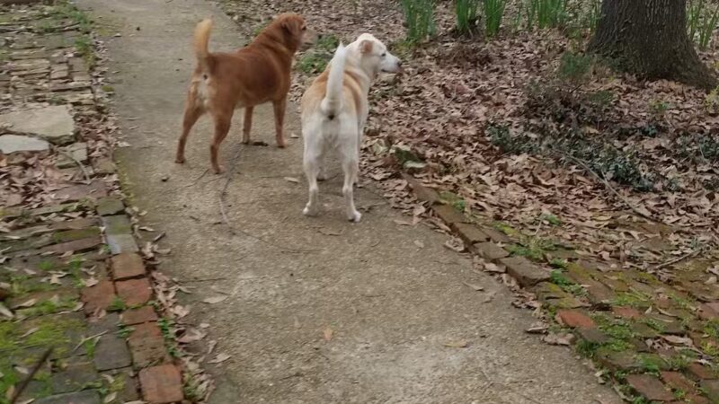 Crystal Springs Parks & Rec - Crystal Springs, MS