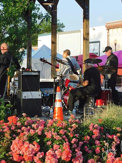 The Packing Shed - Crystal Springs, MS