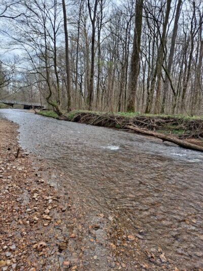 Cypress creek - Cypress Inn, TN