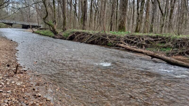 Cypress creek - Cypress Inn, TN