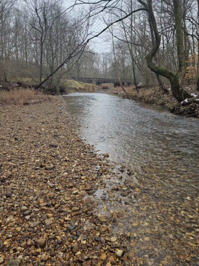 Cypress creek - Cypress Inn, TN