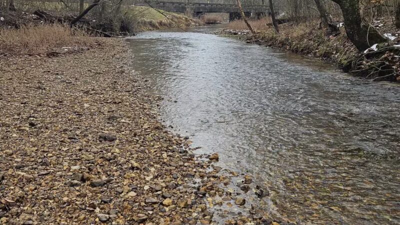 Cypress creek - Cypress Inn, TN