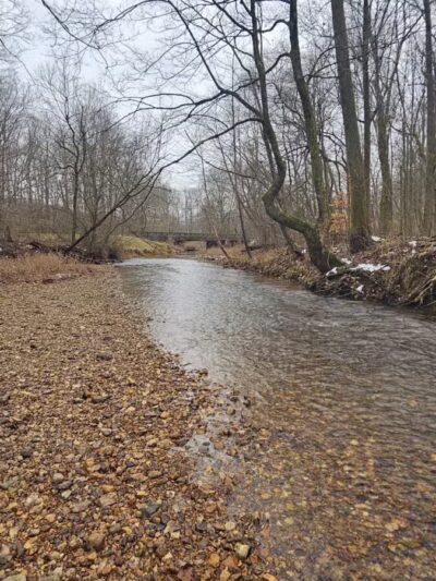 Cypress creek - Cypress Inn, TN