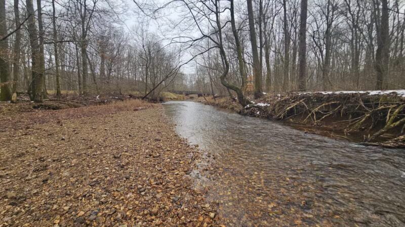 Cypress creek - Cypress Inn, TN