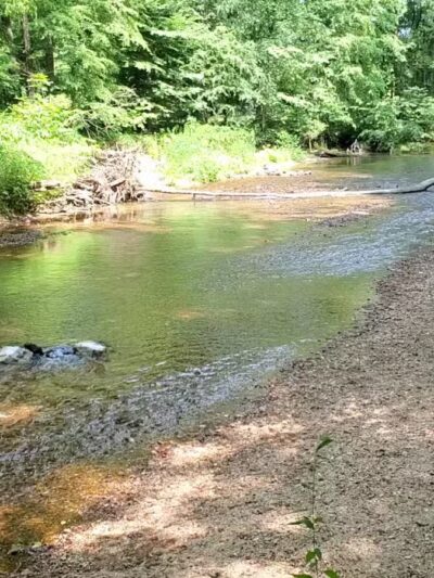 Cypress creek - Cypress Inn, TN