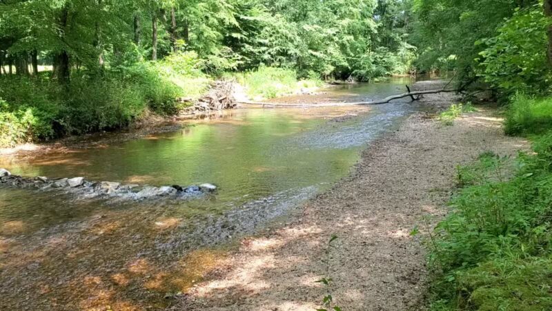 Cypress creek - Cypress Inn, TN