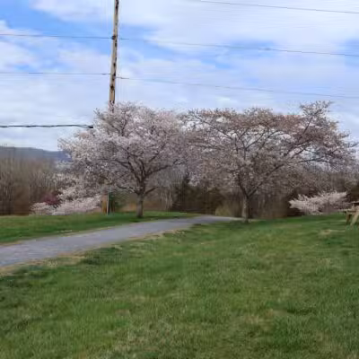 Cherry Blossom TRACK Trail Trailhead - Daleville, VA